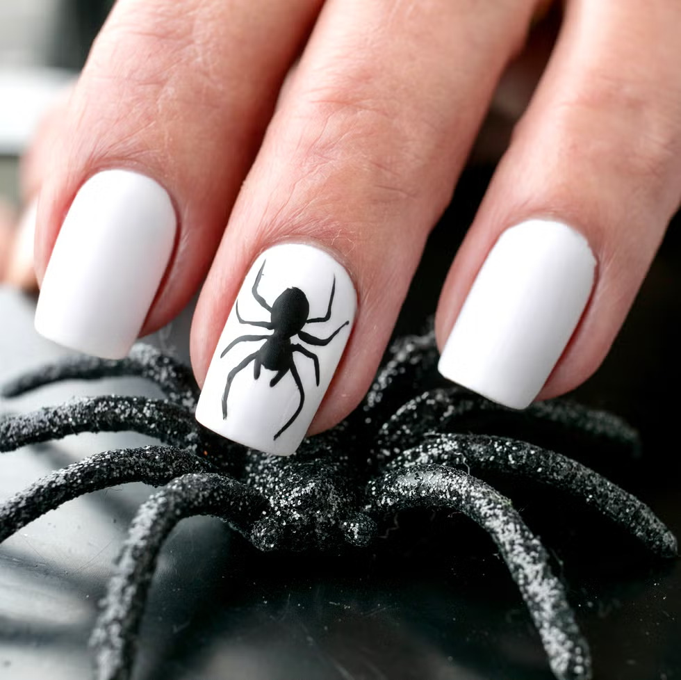 Spider Nails Art